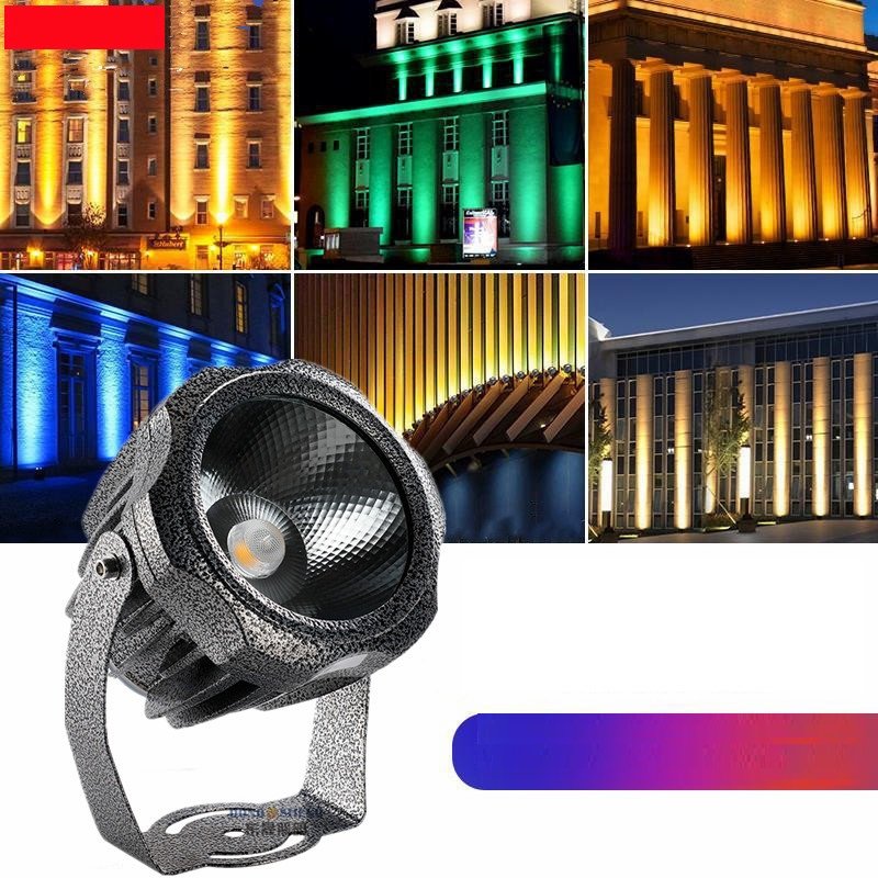 Ảnh 7